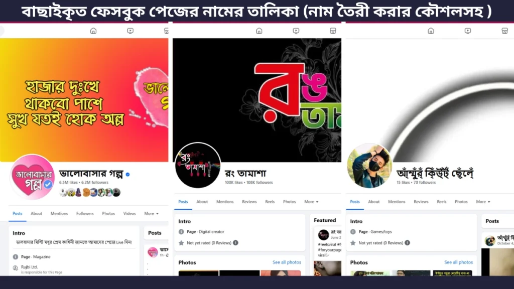 বাছাইকৃত ফেসবুক পেজের নামের তালিকা