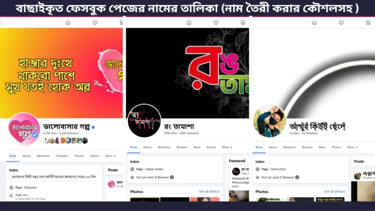 বাছাইকৃত ফেসবুক পেজের নামের তালিকা